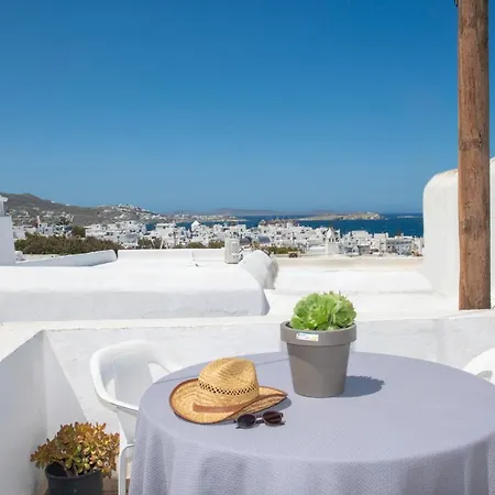 Hibiscus Rosa Location