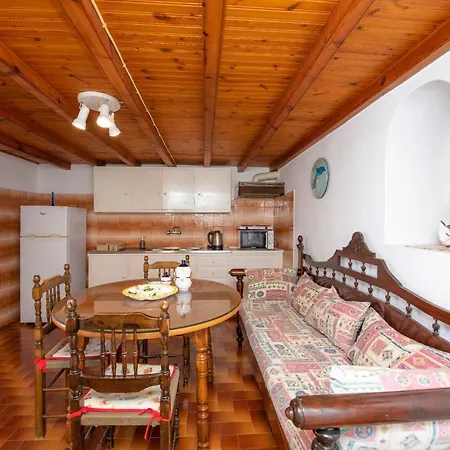 Hibiscus Rosa Location