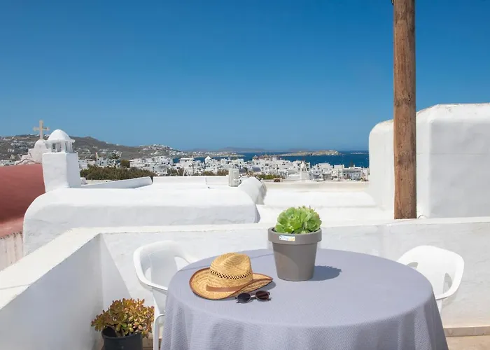 Hibiscus Rosa Location