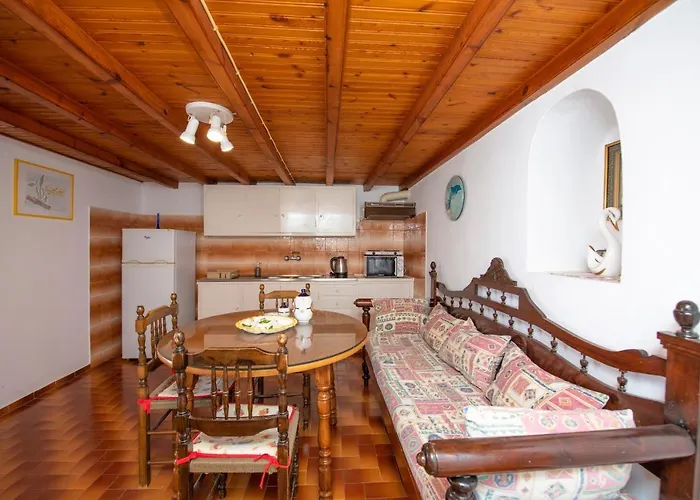 Hibiscus Rosa Location